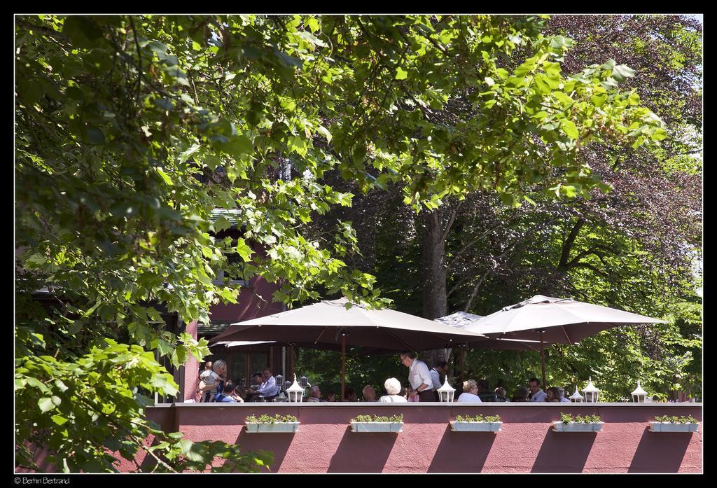Auberge De La Gaichel מראה חיצוני תמונה